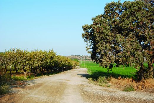 Subida hacia la Sierra de San Quílez